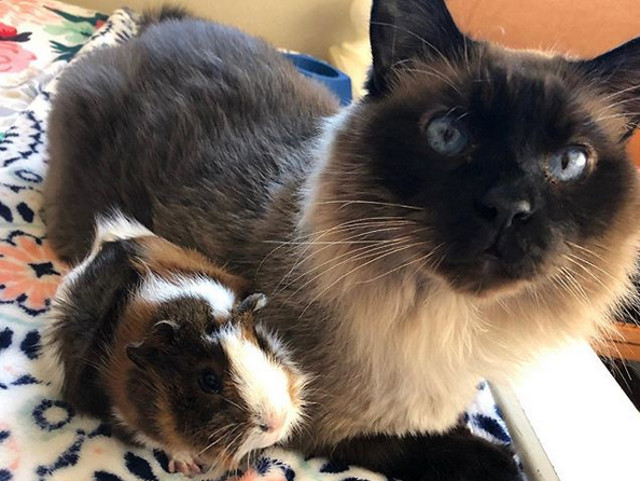 Si ea pare uimita de asemanare