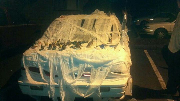 O fi un fel de razbunare?