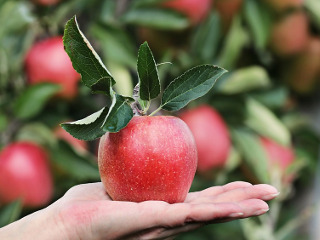 Traditie: trebuie acordata o mana de ajutor persoanelor nevoiase