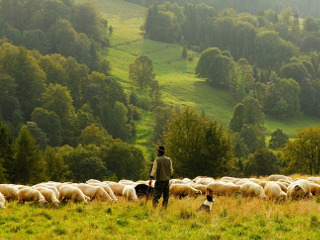 Interdictie: fara cioplit