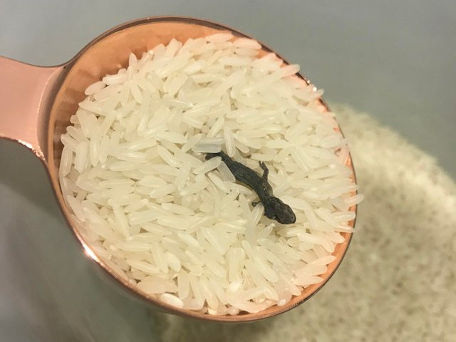 O mica surpriza in orez