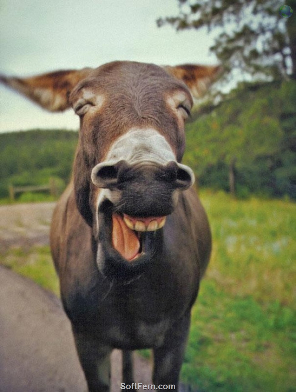 Un zambet extrem de larg