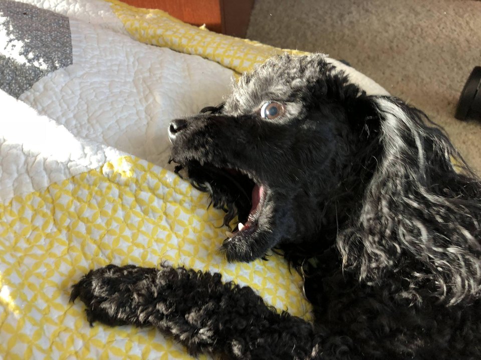 A ramas mut de uimire