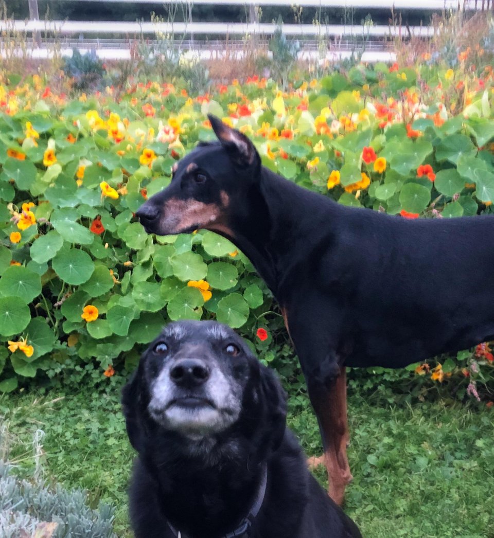 "E in spatele meu, nu-i asa?"