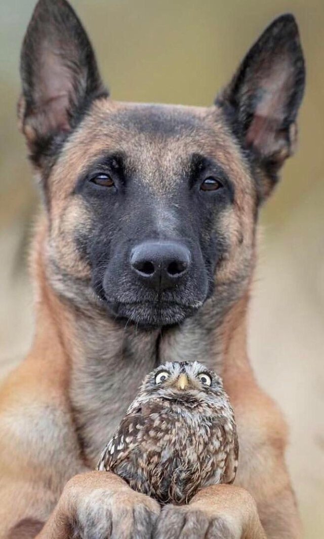 "Cine are grija de mine?"