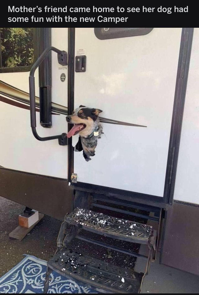 Nu pare a avea vreo remuscare