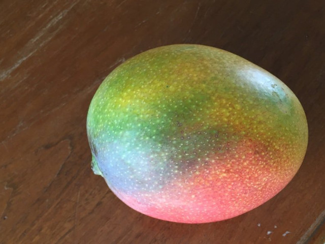 Un mango colorat asemenea unui curcubeu