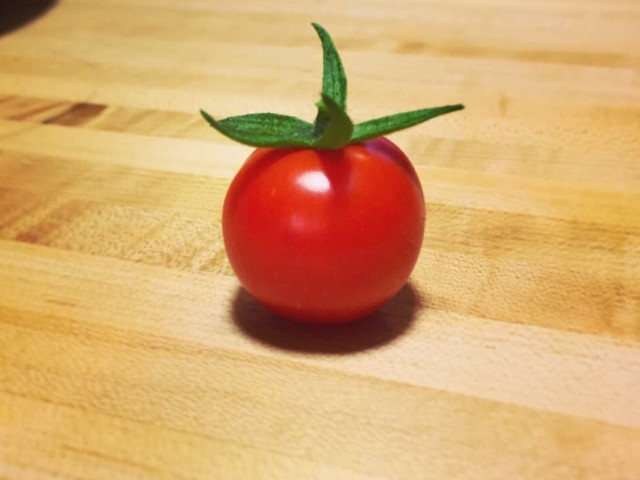 Asa ar trebui sa arate toate rosiile