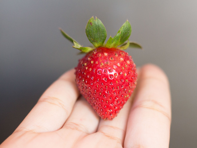 Nici nu te-ar lasa inima sa mananci o asemenea capsuna perfecta