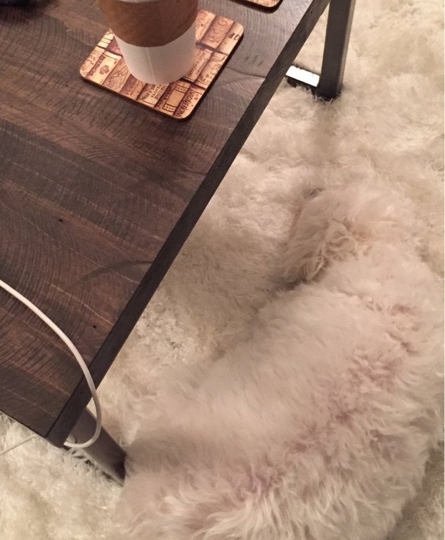 Priveste cu atentie!