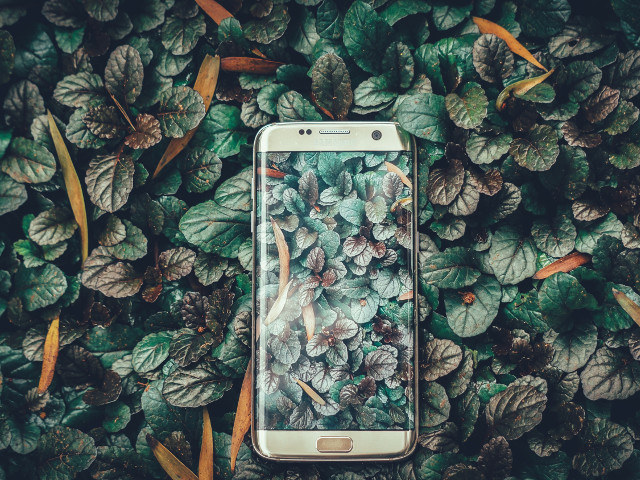 "Se contopeste" cu natura