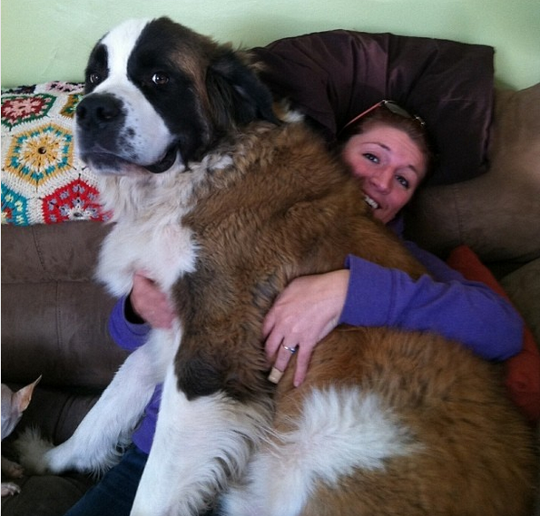 Cand cainele tau e mai mare decat tine