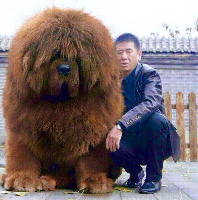 In caz ca ai nevoie de protectie