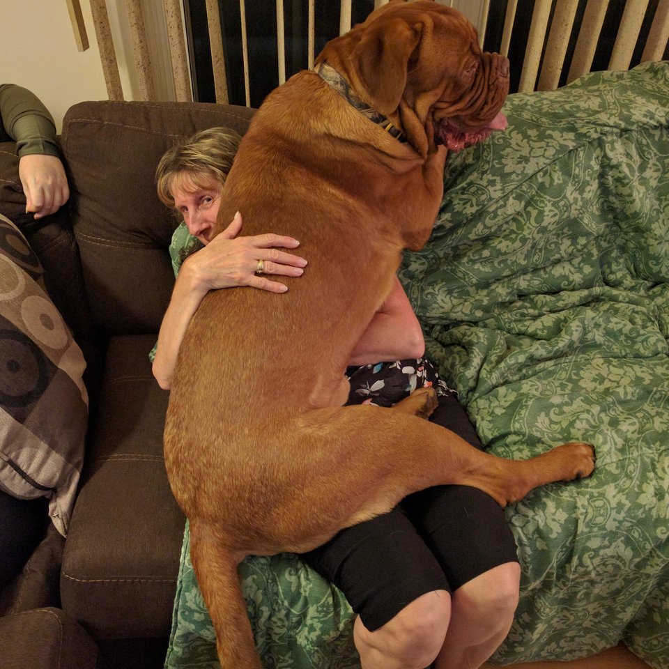 Probabil inca se crede pui