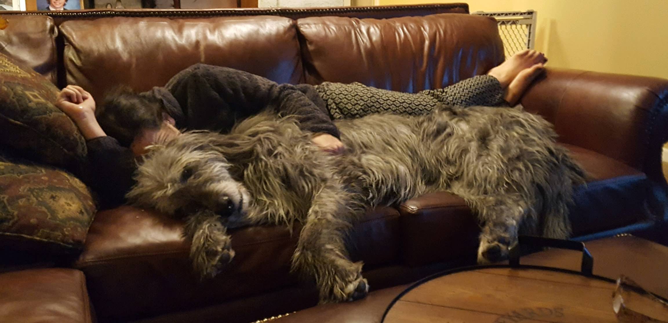 Nici nu ai nevoie de patura