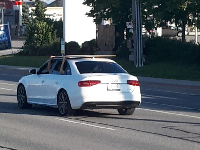 De ce sa fie tinute cu mana, cand pot fi legate?