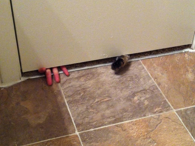 Oricand este un moment bun pentru a face o gluma...