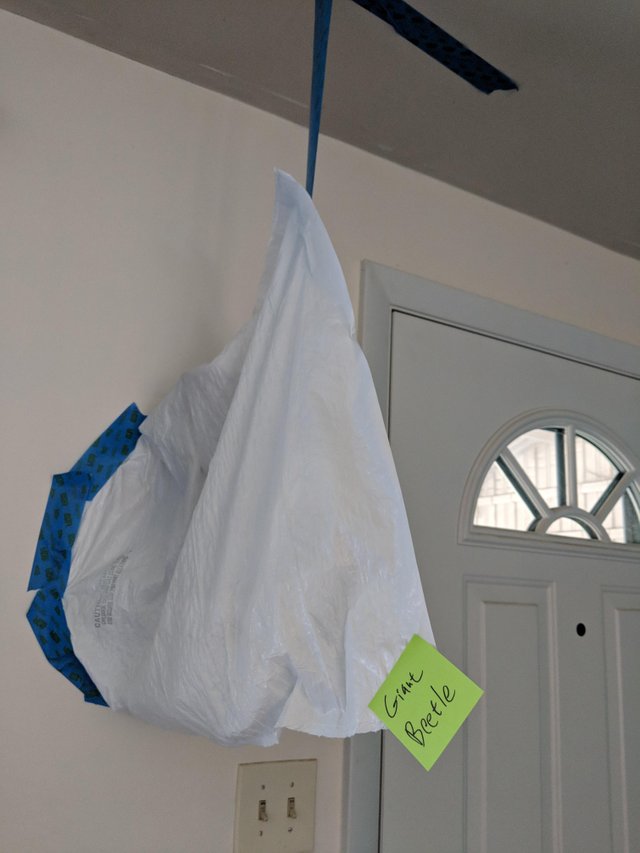 Un sot care stie sa rezolve toate problemele: "Gandac urias"