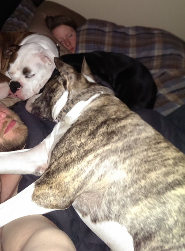 Dupa luni intregi de negare si nopti in care a dormit pe canapea, un barbat a reusit sa faca un selfie care sa demonstreze de ce ea doarme mai bine decat el