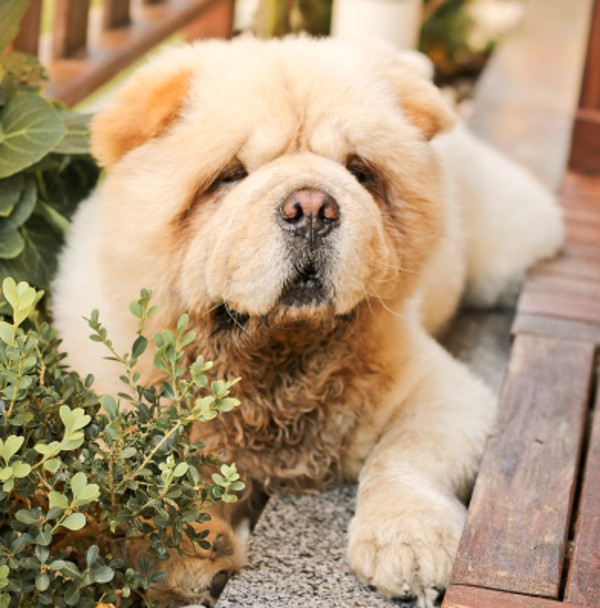 Cum sa nu te topesti?