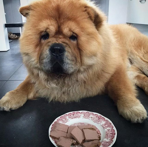 Te cucereste la prima vedere