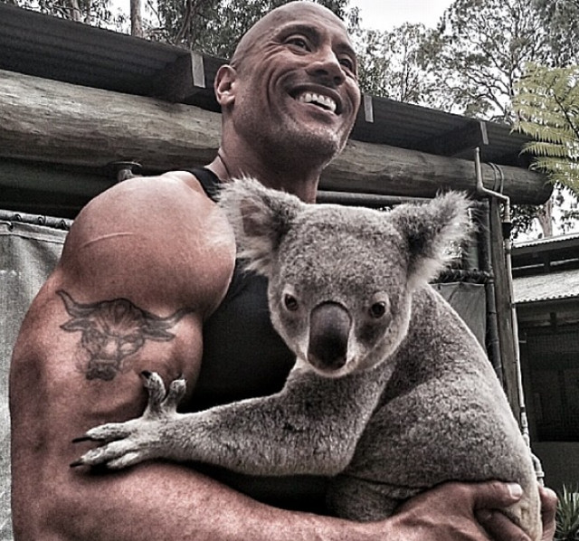 In pofida aspectului sau de "dur", The Rock este un mare iubitor de animale