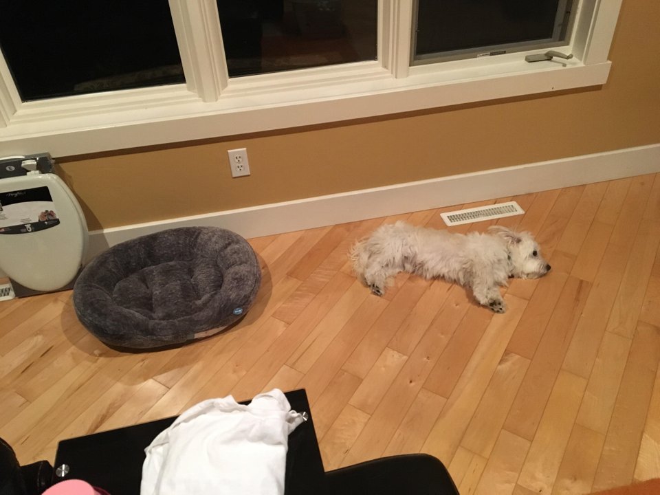 Nu conteaza ca tu vrei ce e mai bine pentru el, pentru ca tot unde vrea sta