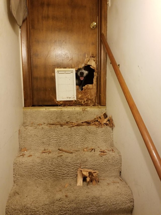 Pare chiar mandru de "opera" sa