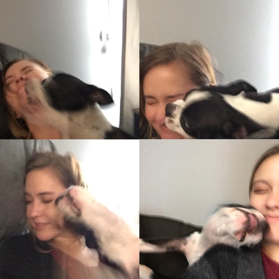 Cand vrei sa faci o poza draguta, dar se intampla asta