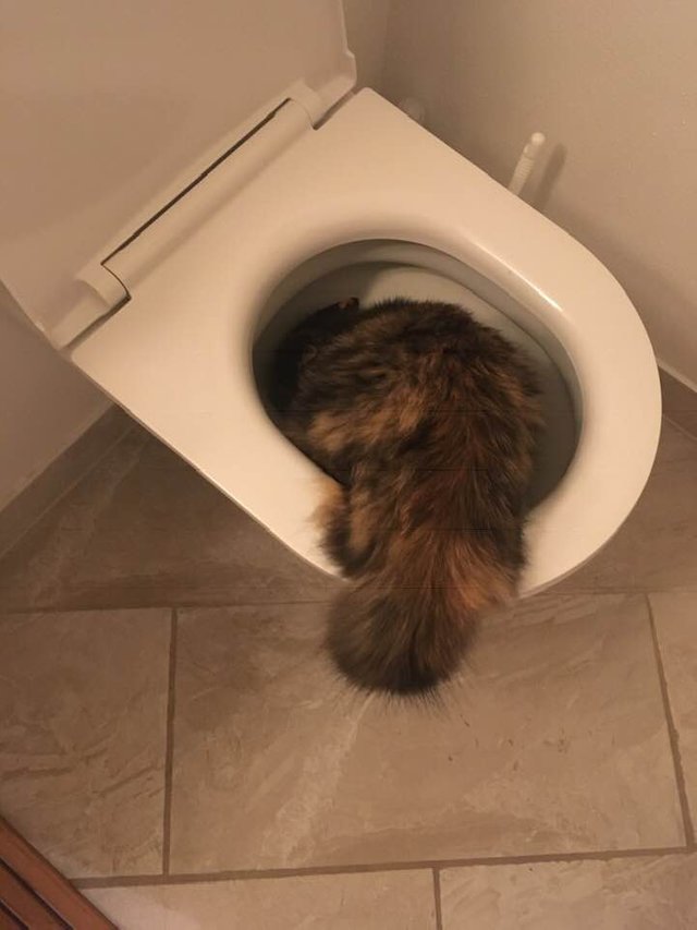 Cineva sa o scoata de acolo