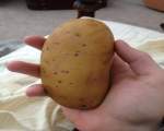 Un cartof sau... doar o piatra?