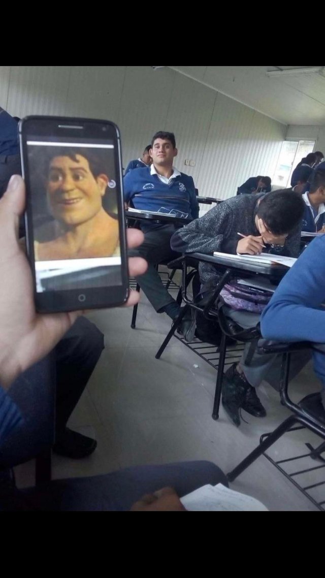 Shrek si-a gasit sosia