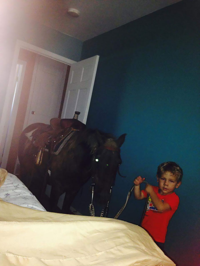 Un copil a adus calul in casa pentru ca "afara e prea cald si are nevoie de racoare"