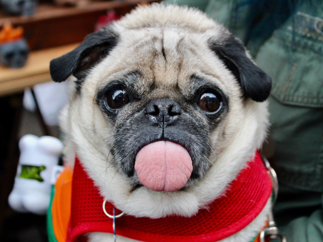 Imposibil sa nu te cucereasca!