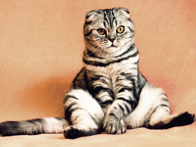 Trebuie sa-ti smulga macar un zambet