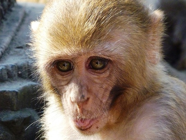 Imagine care te inveseleste