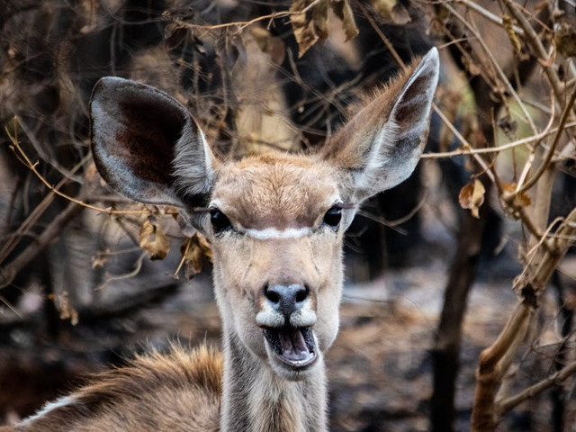 Nici nu stii la ce sa te gandesti cand vezi aceasta imagine