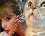 Este iubitoare de pisici