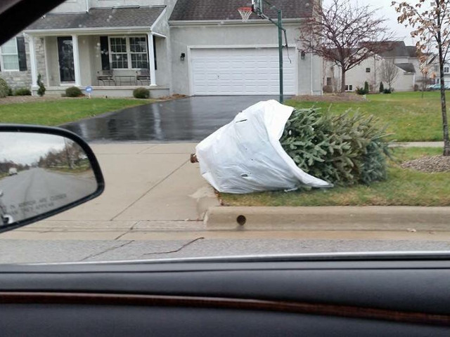 Eficienta in dimineata de Craciun la ora 08:40
