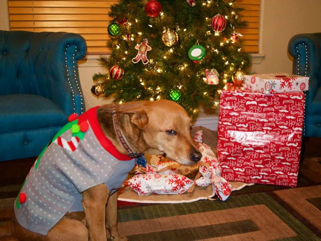 Imaginea care spune totul