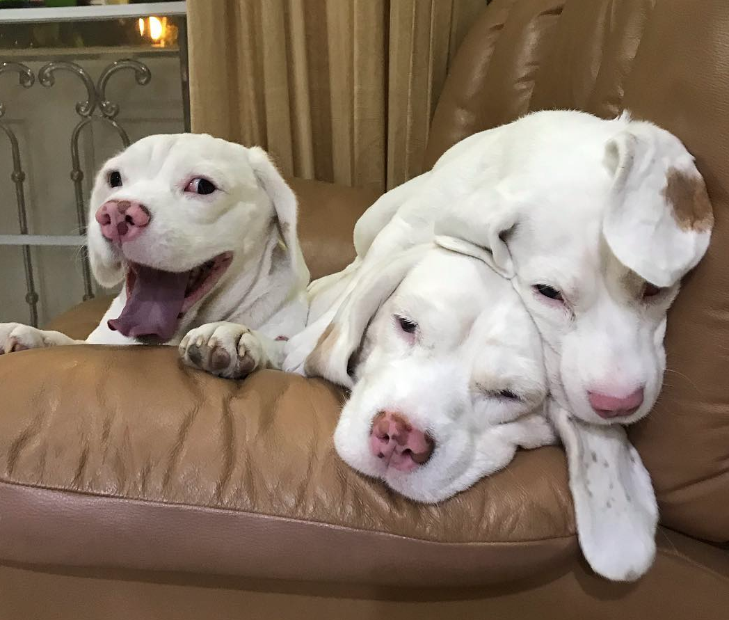 Nicaieri nu e ca acasa, in familie