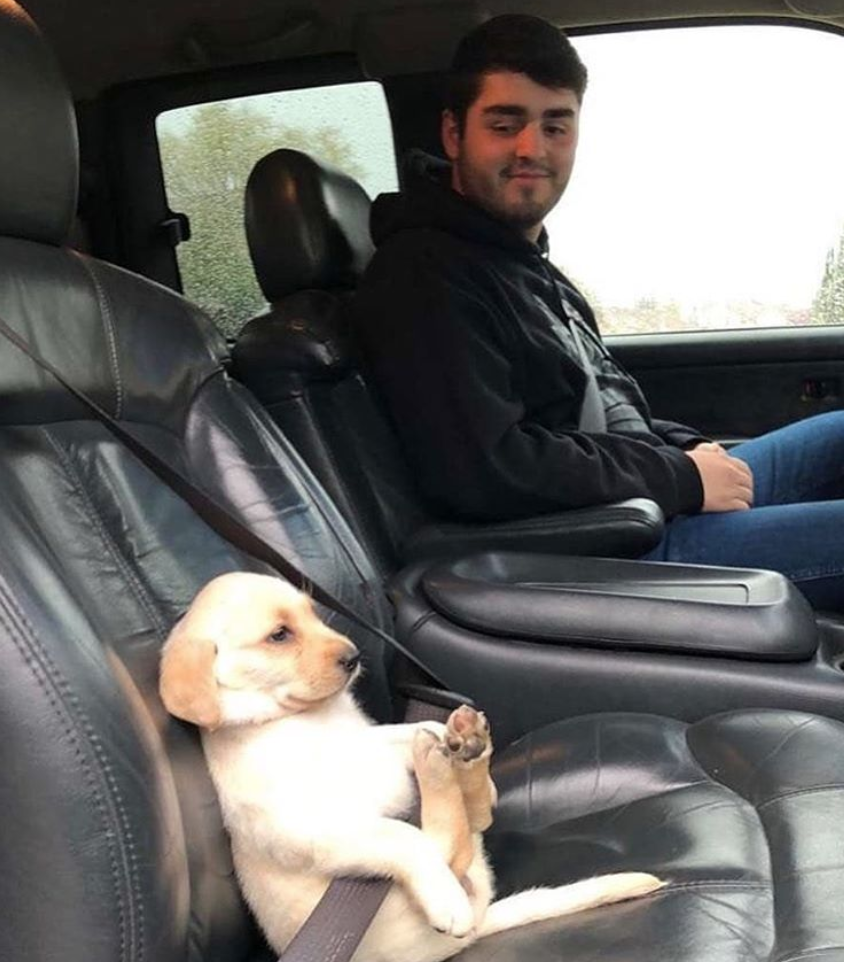 Siguranta inainte de toate