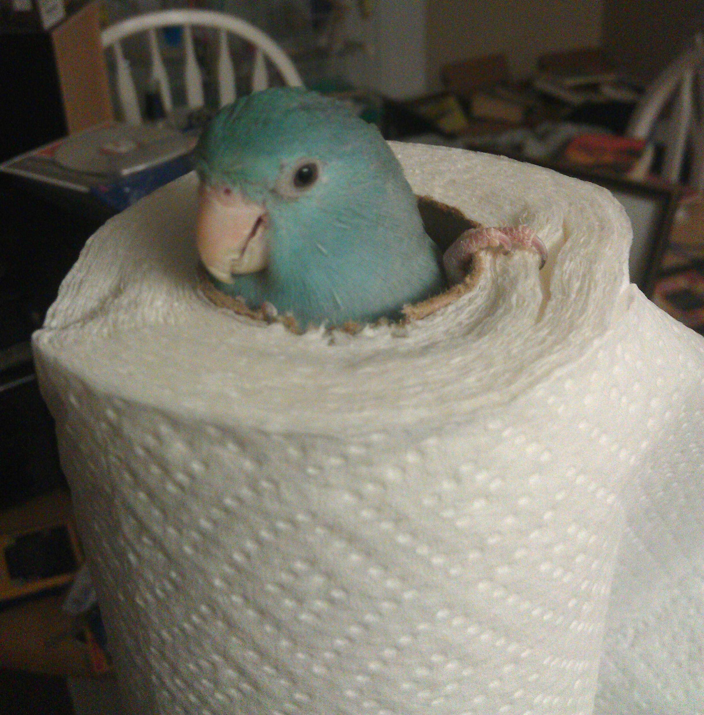 Nu se astepta sa ramana blocat