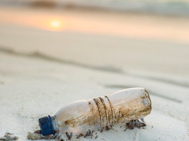 Protejarea mediului, subiect fierbinte in 2019