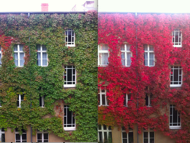 Schimbari radicale de la o saptamana la alta