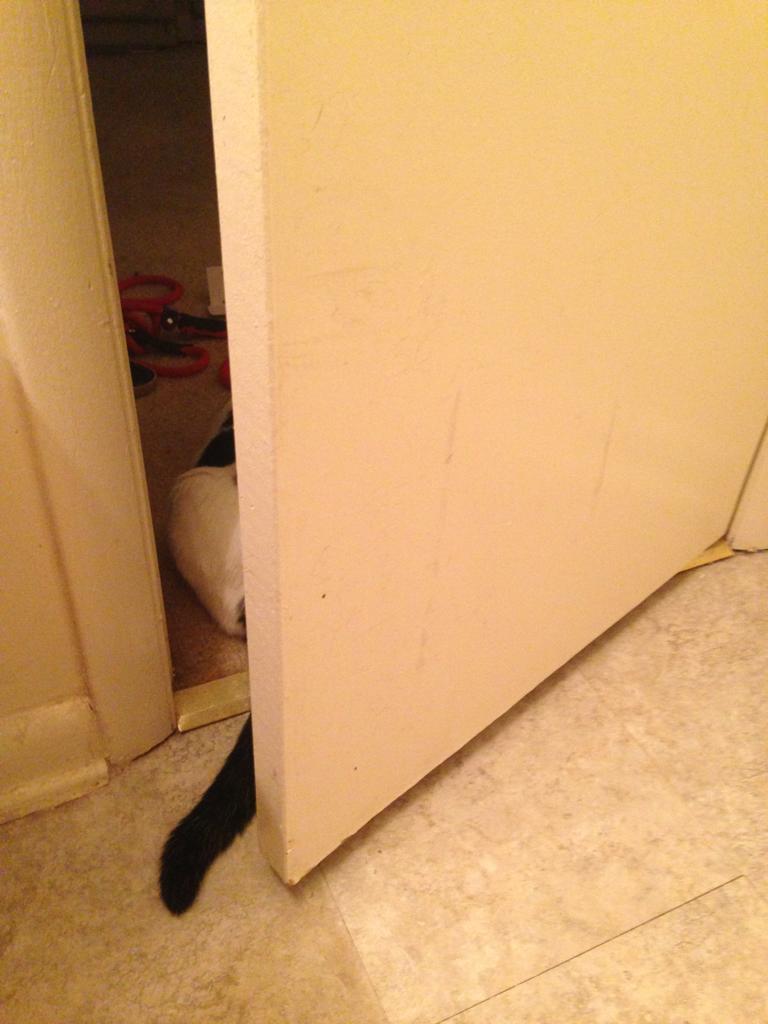 Pe punctul de a inchide usa