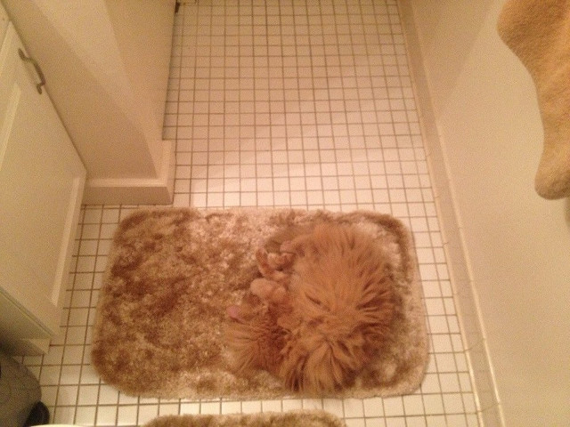 Trebuie pasit cu atentie