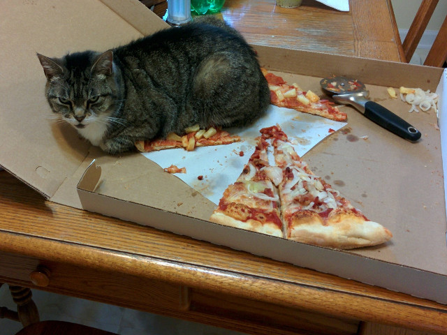 Daca aici se simte bine, ce mai conteaza ca poate cuiva ii este foame?