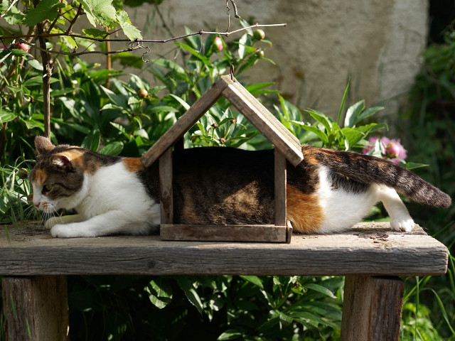 ...dusa la extrem, uneori