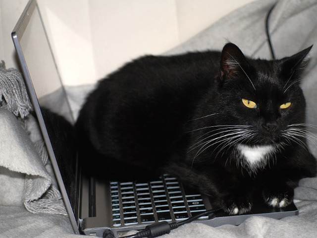 Nu, nu poti lucra chiar in acest moment